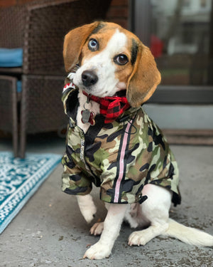 Barking Pup Raincoat